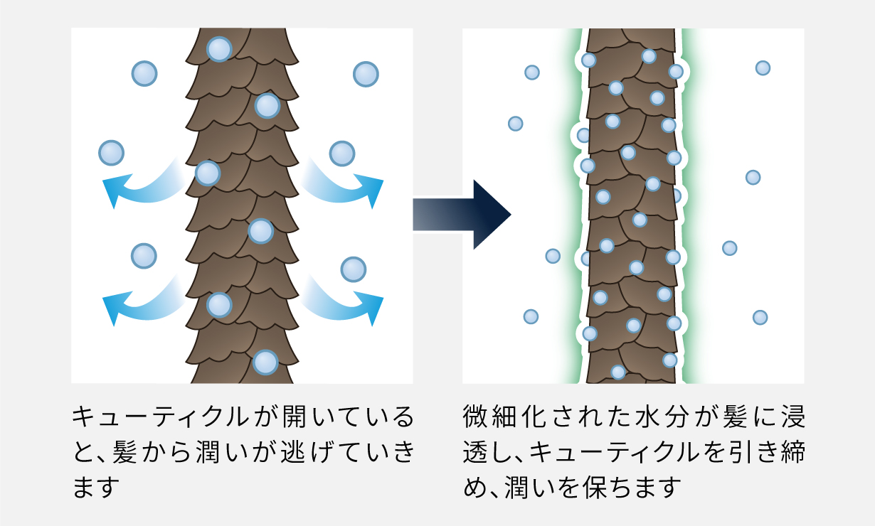 Wコートイオンｓ